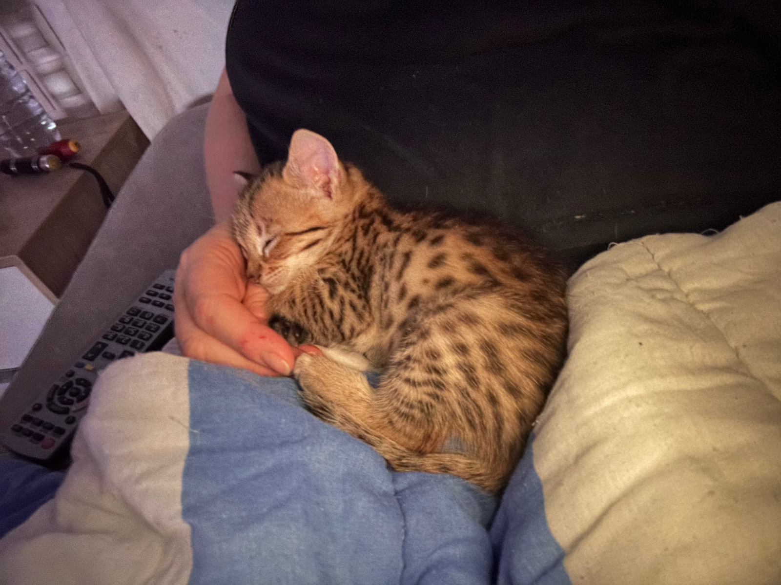 2024 03 20 20.19.531